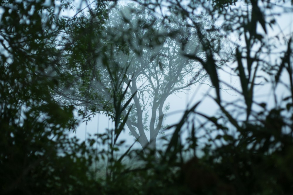 bat-16x24-cm-fuji-perla-0785