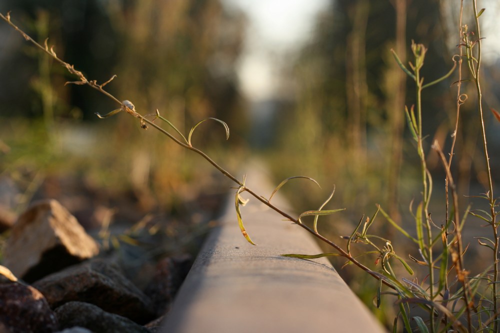 bat-16x24-cm-h308-7890-pc-9821